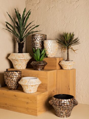 Луксозни кашпи