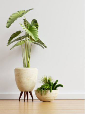 Изкуствени растения